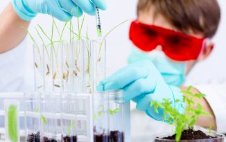 New Web-Based Educational Series Launches for Long Island Community Scientists