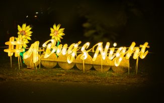 Experience the Beauty of Ancient China as the NYC Winter Lantern Festival Presents “A Bug’s Night” at Nassau County Art Museum