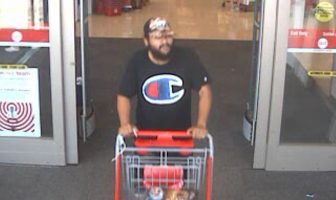Suffolk County Police Seeking Central Islip LEGO Thief