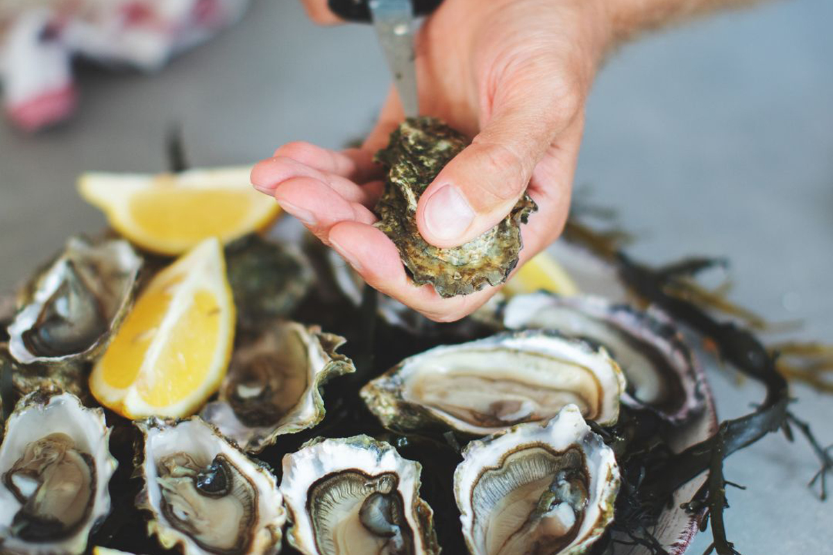 Local Fish and Oyster Tasting on August 10 Highlights Flavors, Benefits ...