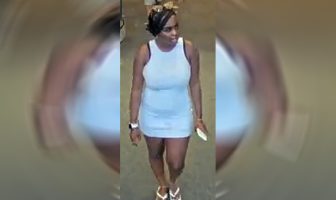 Police Seeking Thief Who Pilfered Beauty Supplies from Central Islip Store