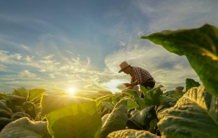 Governor Hochul Advances $5.8 Million Through New York State Grown And Certified Program To Support New York Agricultural Producers