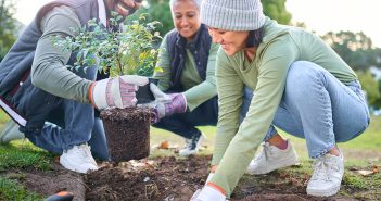 PSEG Long Island Celebrates Earth Day by Giving Out Energy Saving Trees April 19