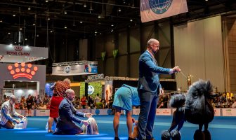 Long Island Dog Shows, Fri-Sun, May 17-19