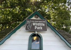 Long Island Game Farm And The Foundation For Wildlife Sustainability Celebrate National Volunteer Month