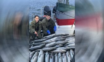 NYS Environmental Conservation Police Conduct Striped Bass Bust in Suffolk County