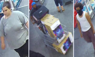 Trio of Crooks Haul Off Shopping Cart Full of Speakers from East Setauket BJ’s Wholesale Club, Cops Say