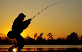 DEC Announces Opening of 2024 Black Bass Season in New York State June 15