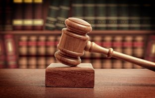 Bellport Man Indicted for Felony Animal Cruelty for Allegedly Cutting Dog’s Ears Off Which Led to Its Death