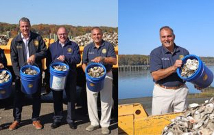 Town of Oyster Bay Recycles Thousands of Shells from Oyster Festival for Harbor Sanctuary