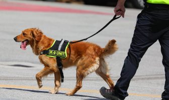 Romaine, SCPD, Officials to Introduce New Canine Assigned to Patrol Long Island Macarthur Airport