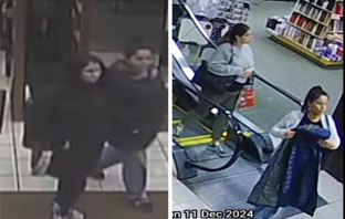 Three Felonious Females Go on Shoplifting Spree at Lake Grove Barnes & Noble, Cops Say