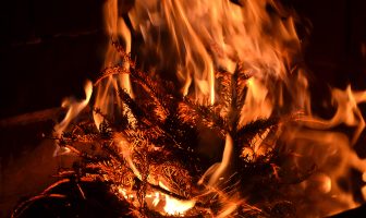 Suffolk County Executive Ed Romaine, Fire Officials to Perform Live Christmas Tree Burn