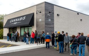 The Latest Hurdle for New York Cannabis: Injunction Prohibits Review of Provisional Retail Applications