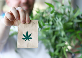New York Cannabis Control Board Updates Medical Regulations And Approves 24 New Licenses For Continued Market Growth